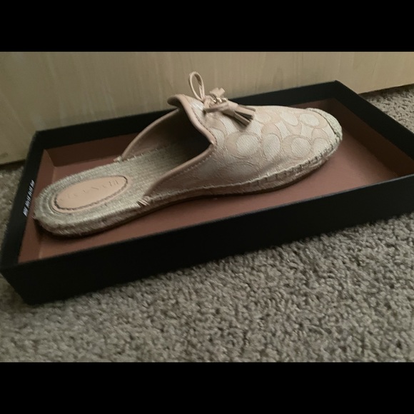 Coach Cassidy sig - Picture 3 of 4